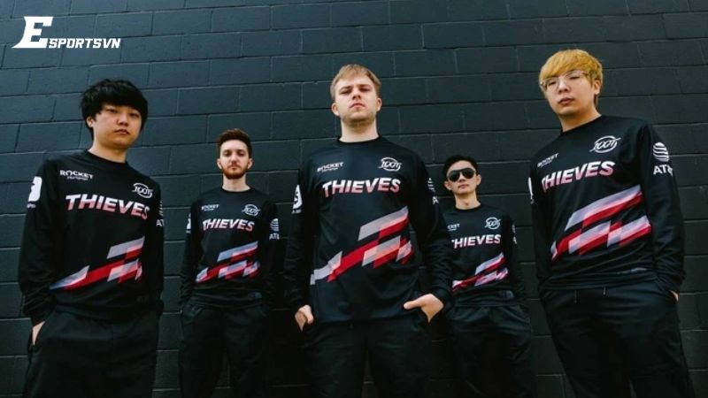 Đội tuyển 100 Thieves