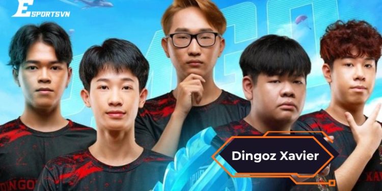 Tiểu sử Dingoz Xavier: Huyền thoại PUBG Mobile Việt Nam