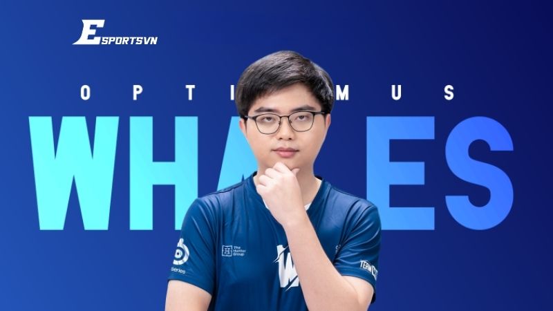 Những bước ngoặt: Tạm nghỉ, Streamer & Sự trở lại đầy bất ngờ