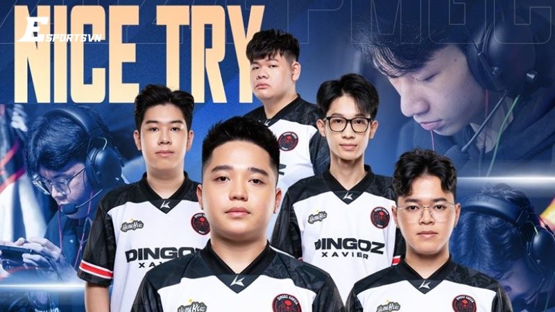 Thế hệ vàng của đội tuyển Dingoz Xavier