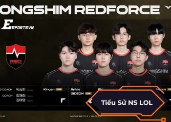 Tiểu sử NS LOL: Hành trình kiên cường chinh phục LCK