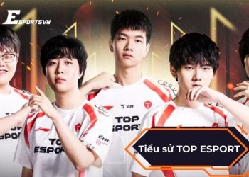 Tiểu sử Top Esports: Hành trình trở thành Ông Lớn LMHT Trung Quốc