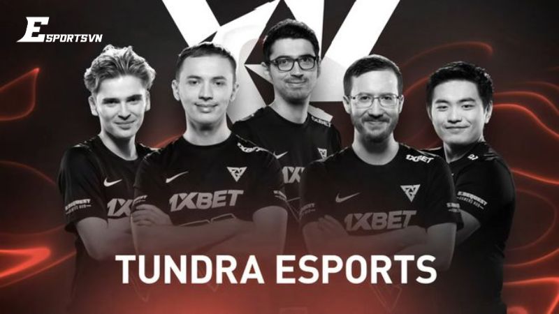 Tiểu sử Tundra Dota 2 - Lịch sử hình thành đội tuyển
