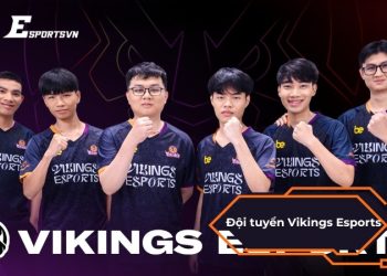 Vikings Esports: Làn gió mới cho thể thao điện tử Việt Nam