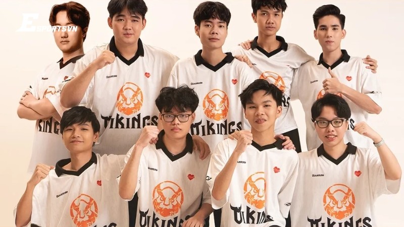 Vikings Esports với hành trình phát triển ấn tượng