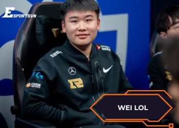 Wei lol là ai? Hành trình vươn tới đỉnh cao thần rừng RNG