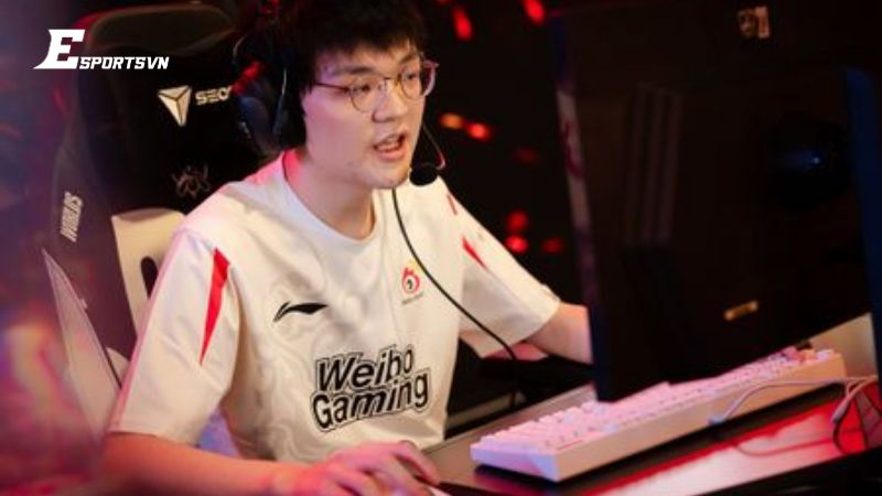 Weiwei là ai? Giới thiệu về Weiwei