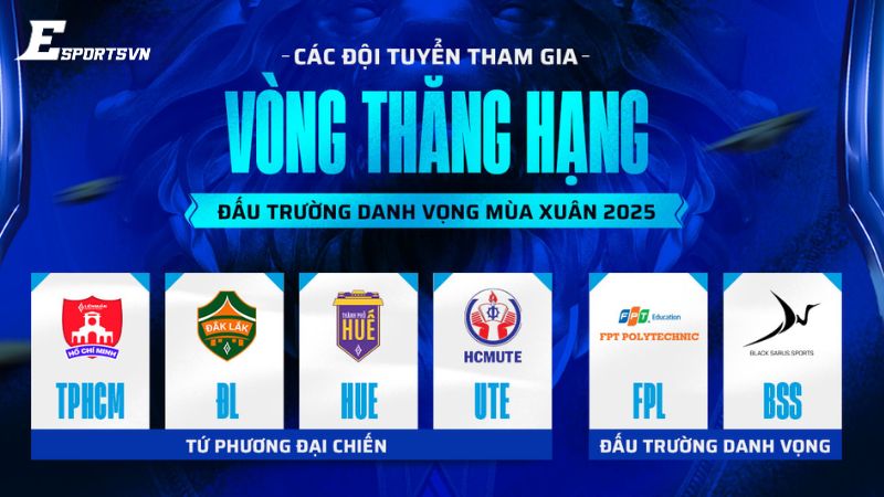 Điểm lại các đội tham dự Vòng Thăng Hạng