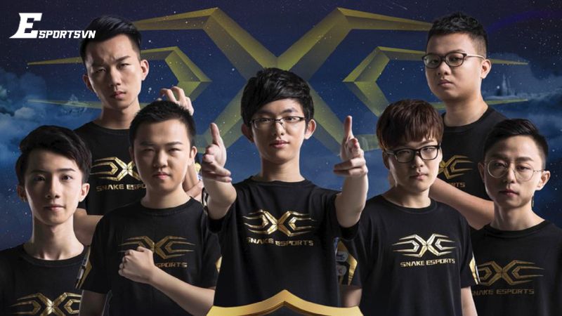 Đội tuyển SofM từng thi đấu: Snake Esports (2016-2019)