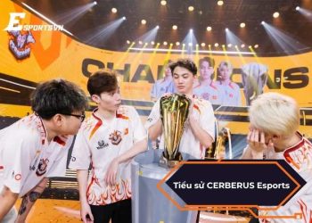 Tiểu sử CERBERUS Esports: Hành trình của vinh quang rực rỡ