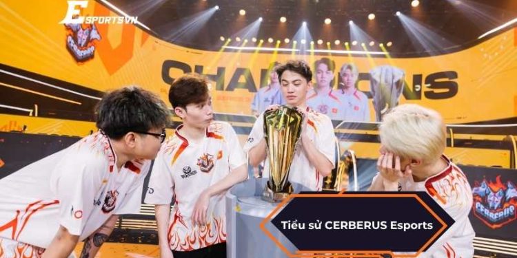 Tiểu sử CERBERUS Esports: Hành trình của vinh quang rực rỡ