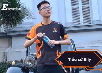 Tiểu sử Elly – Tuyển thủ đa tài của Team Flash và Tốc Chiến