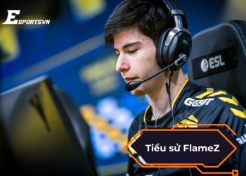 Tiểu sử FlameZ - "Ngọn lửa trẻ" rực cháy của Team Vitality
