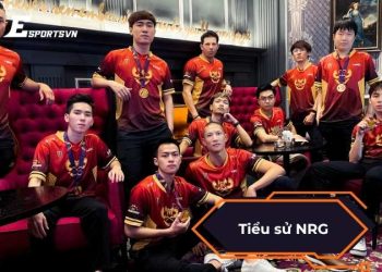 Tiểu sử NRG và những bước ngoặt làm nên tên tuổi toàn cầu