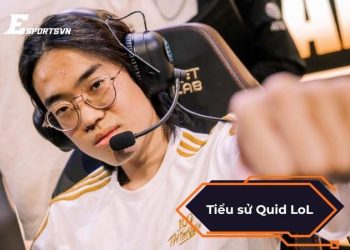 Tiểu sử Quid LoL: Hành trình từ tay mơ đến chuyên nghiệp