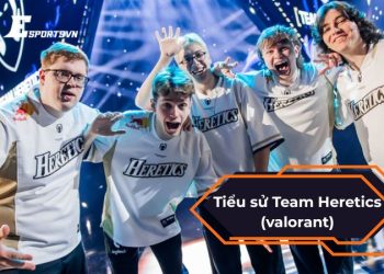 Tiểu sử Team Heretics (Valorant) - Đại diện mới của VCT