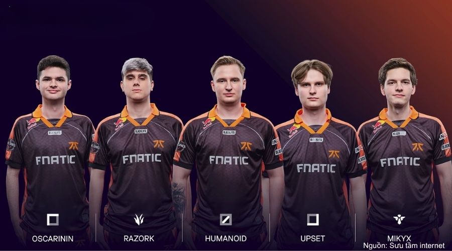 Đội Fnatic gồm 5 thành viên